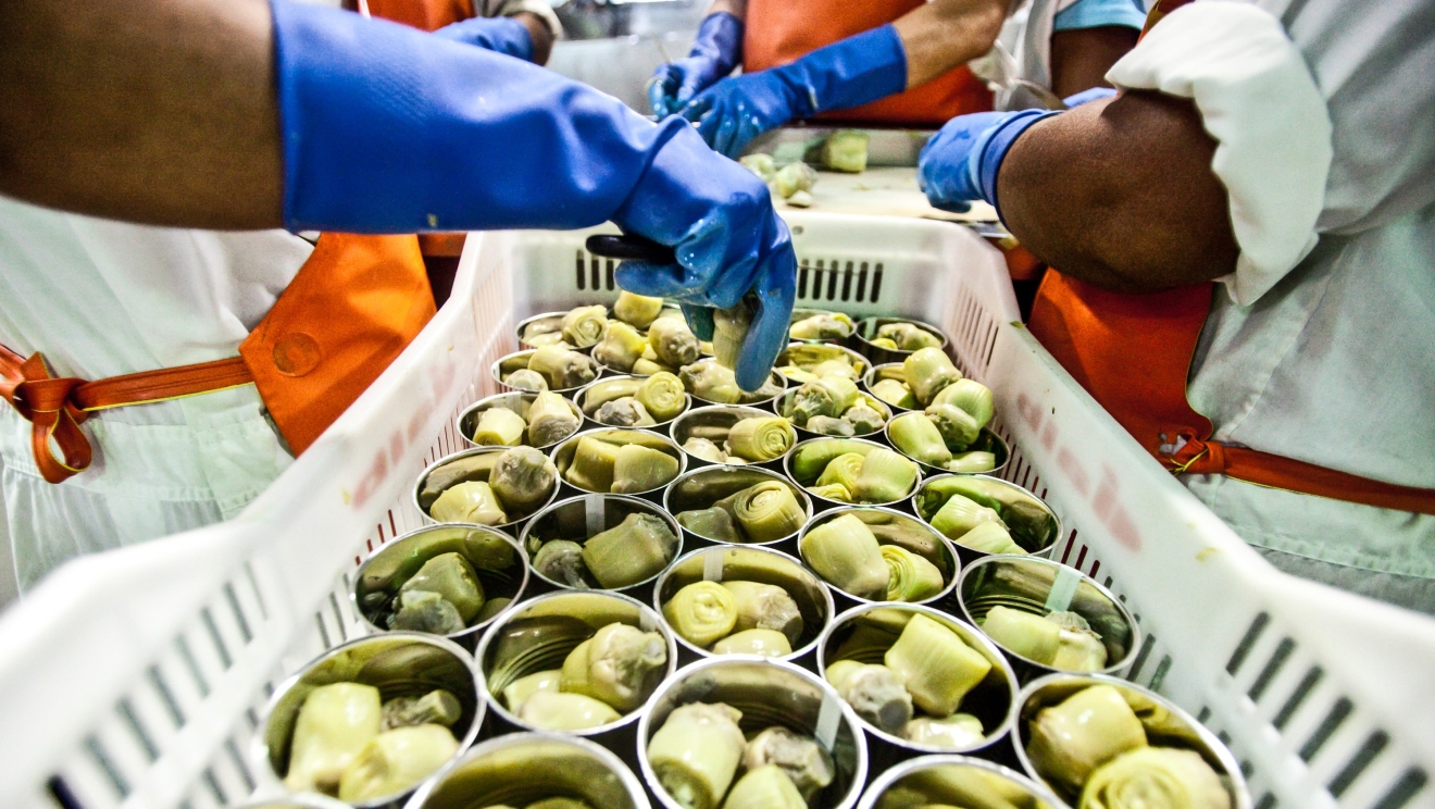 Food processing Peru