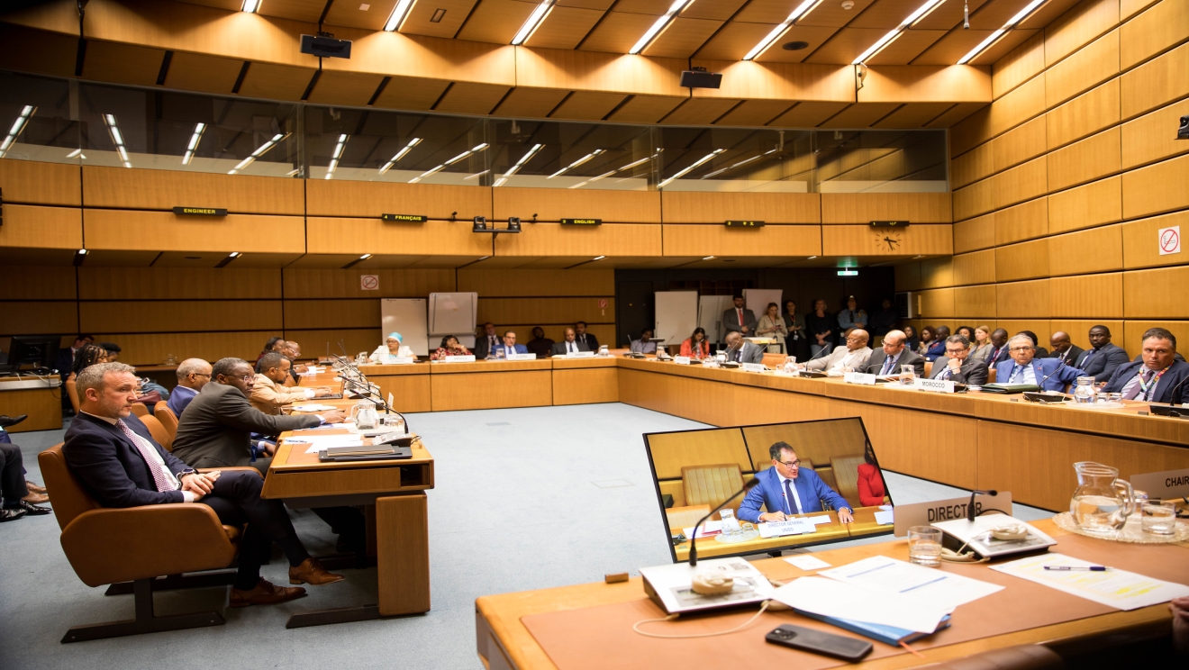 UNIDO high-level dialogue with representatives from Africa Group Member States