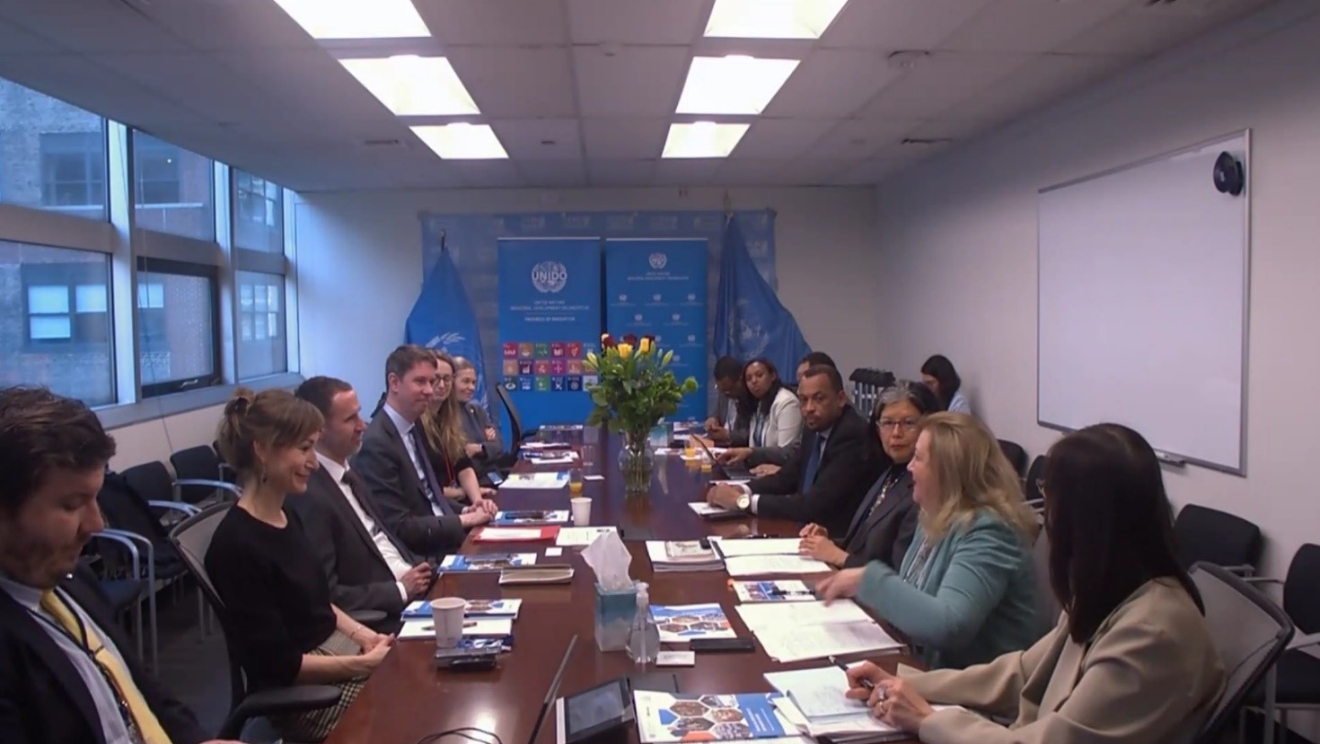 69th Session of the Commission on the Status of Women (CSW69)