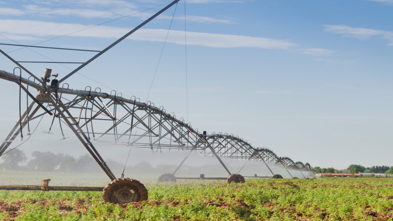 “Irrigation Equipment Production in Central Asia: Industrializing the Water Sector