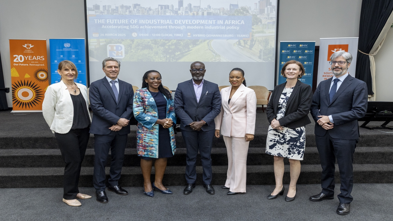 UNIDO IDR2024 in Africa