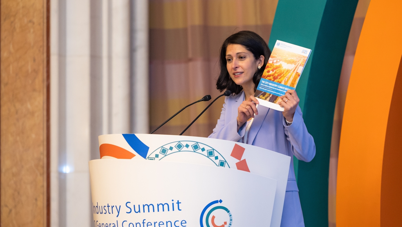 UNIDO-City‑Industry‑Climate Nexus