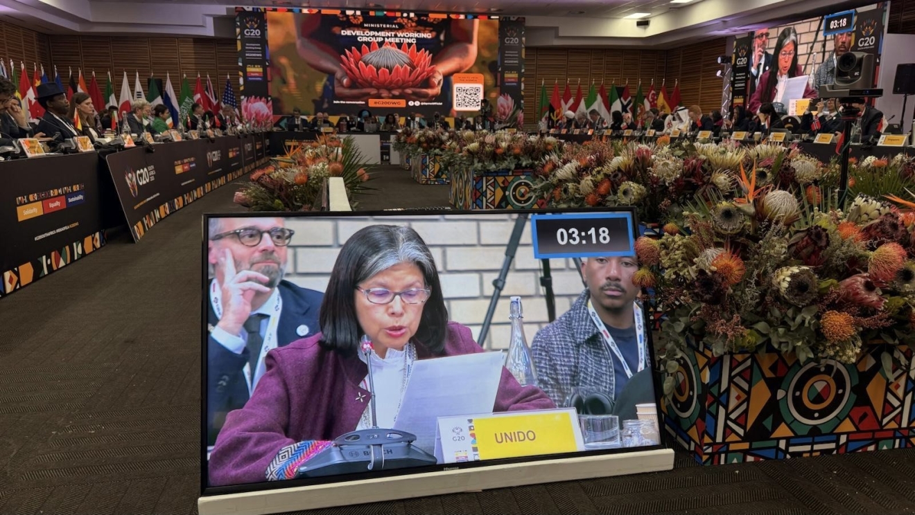 Deputy Director General Ugaz participating in the G20 Development Working Group