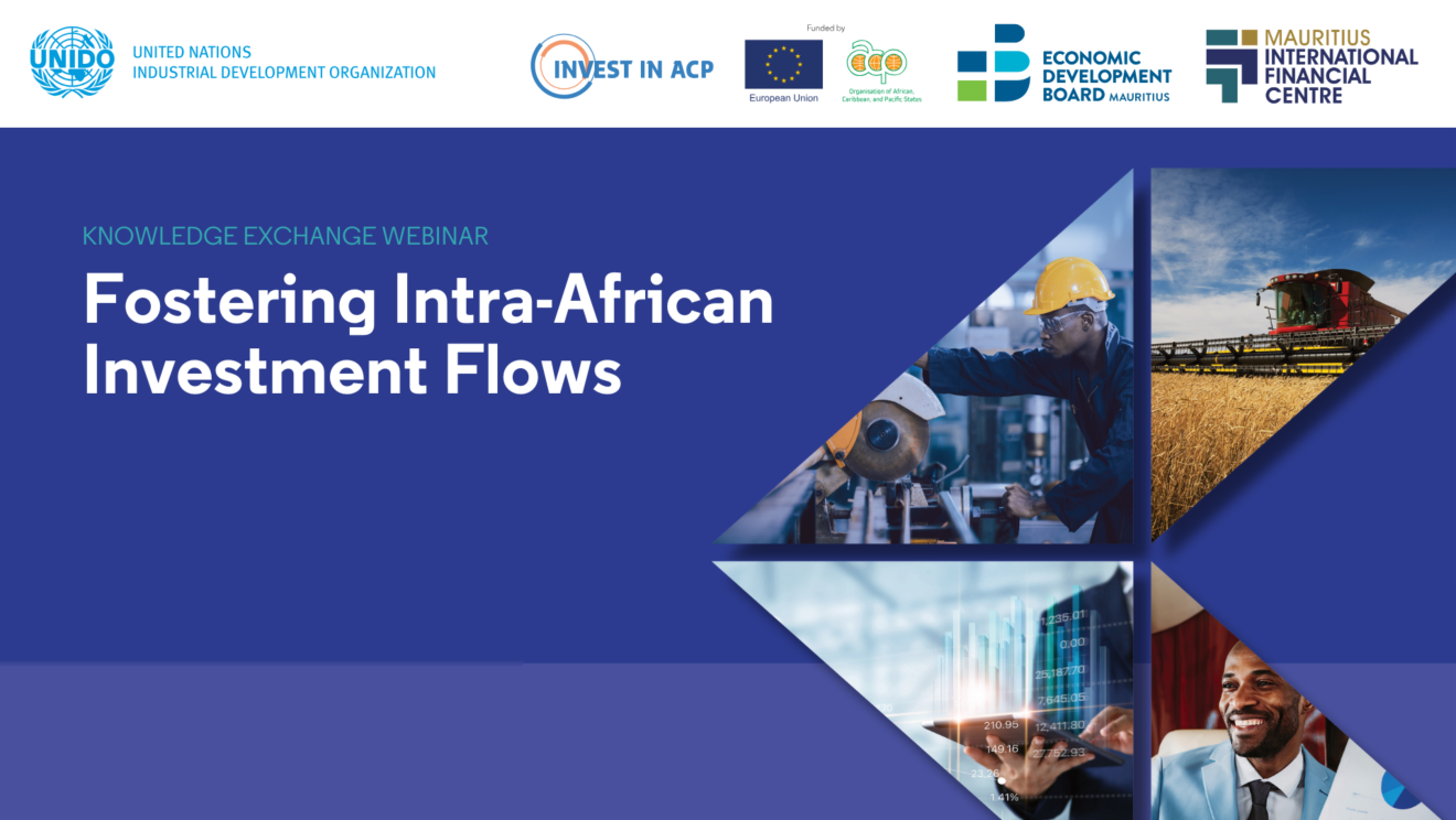 UNIDO and Mauritius join forces to boost Intra-African Investment and Industrialization