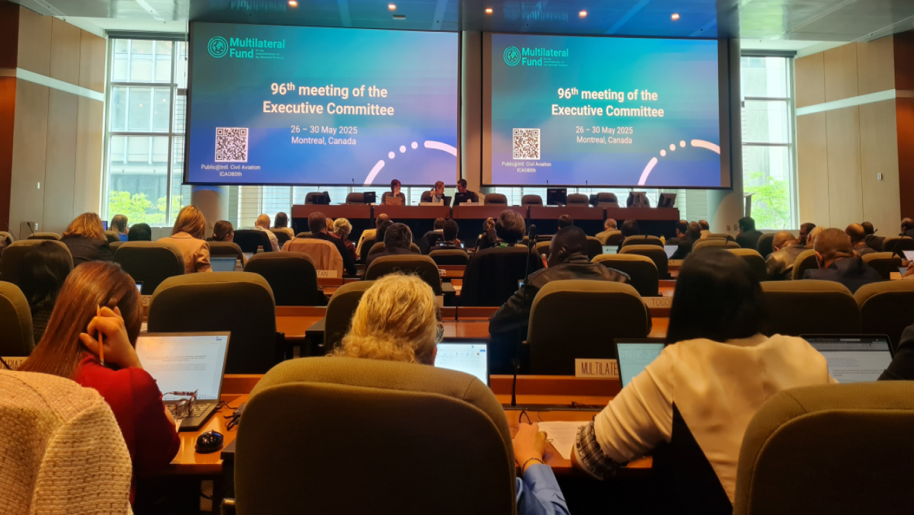 MontrealProtocol_96- EXCOM