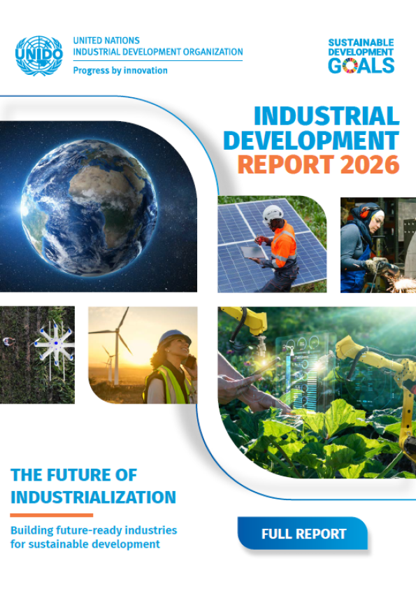 Read the full report in English