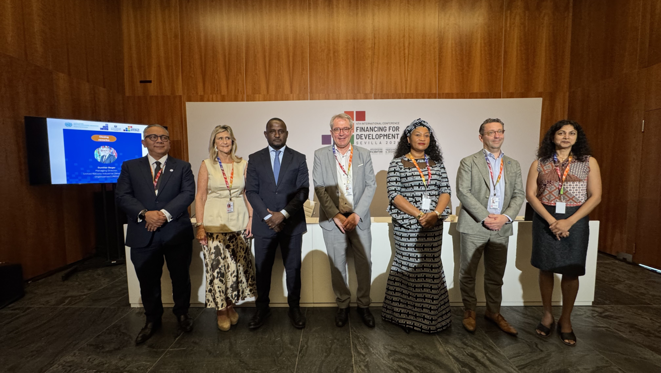 Unlocking private capital for industrial development: Scaling impact through partnerships in blended finance